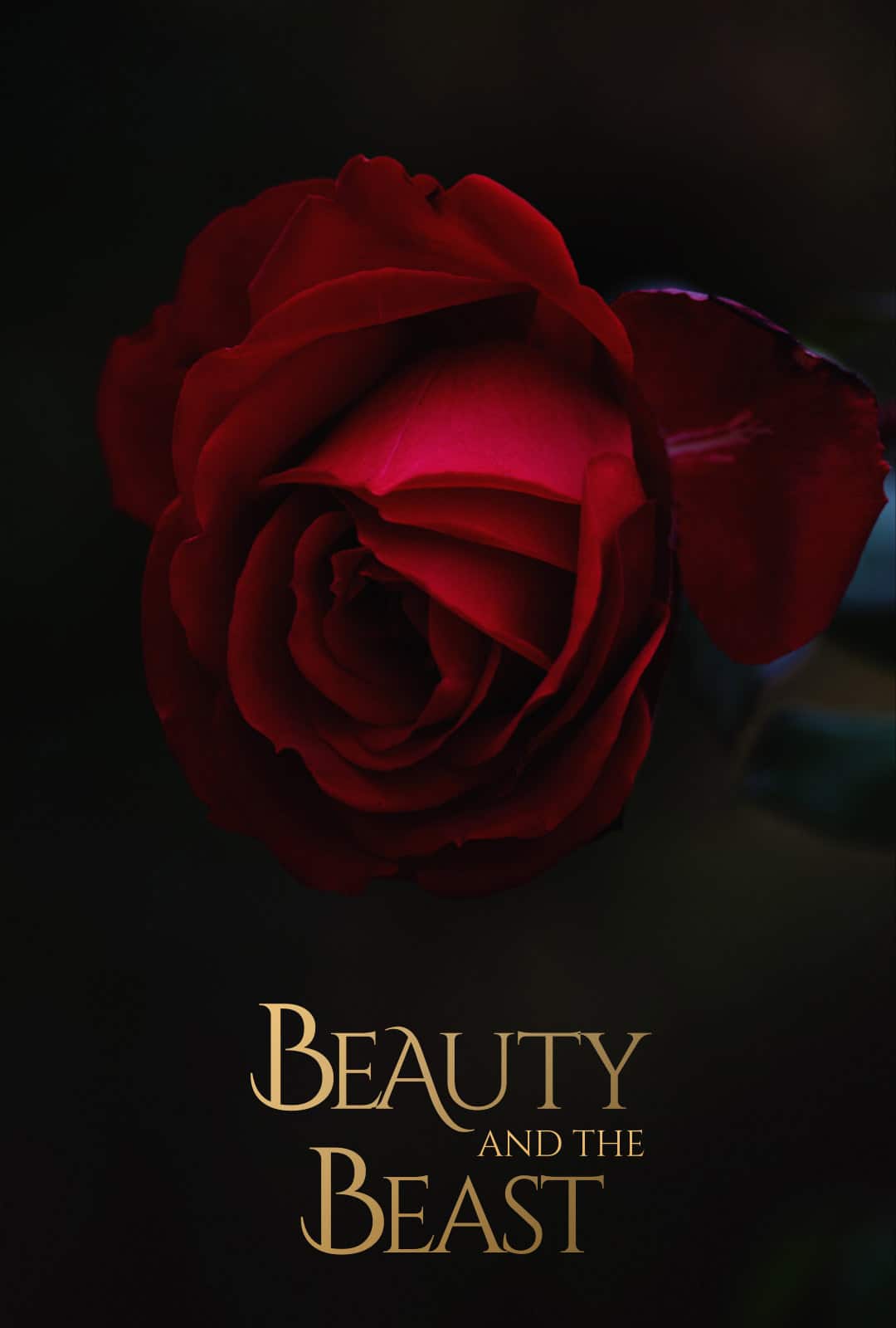 Movies Post Beauty And The Beast Intro