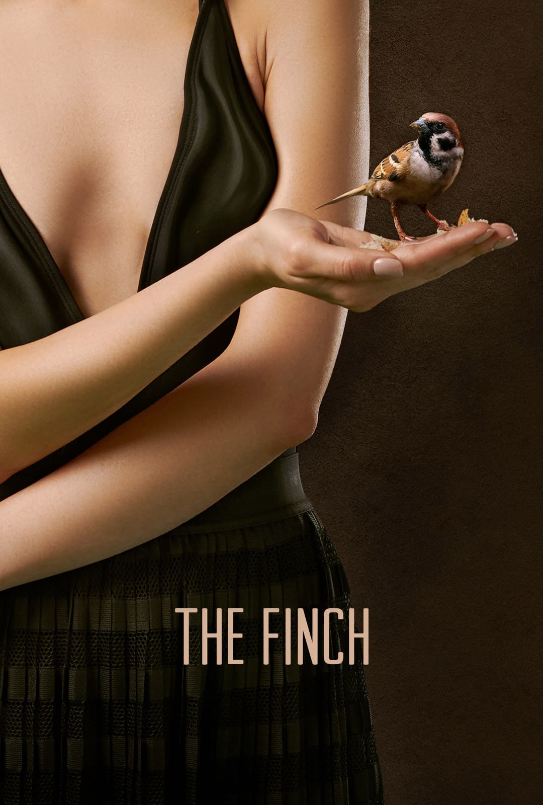 Movies Post The Finch Intro